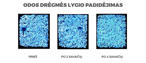 ODOS ELASTINGUMUI GERINTI VEIDO KREMAS „LIFTING CREAM”